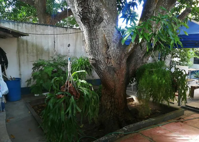 Hospedaje Altamira
