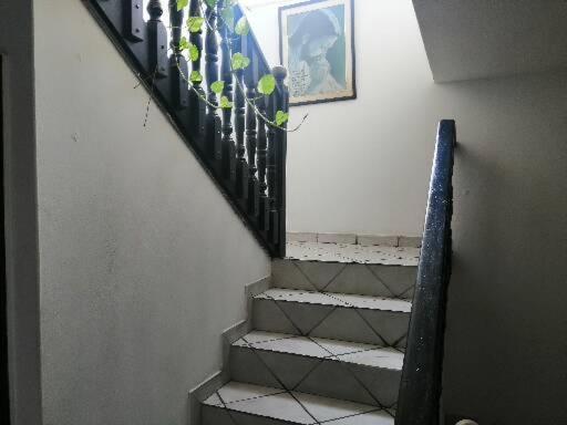 Altamira *
